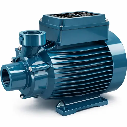 Calpeda CTM 60 A